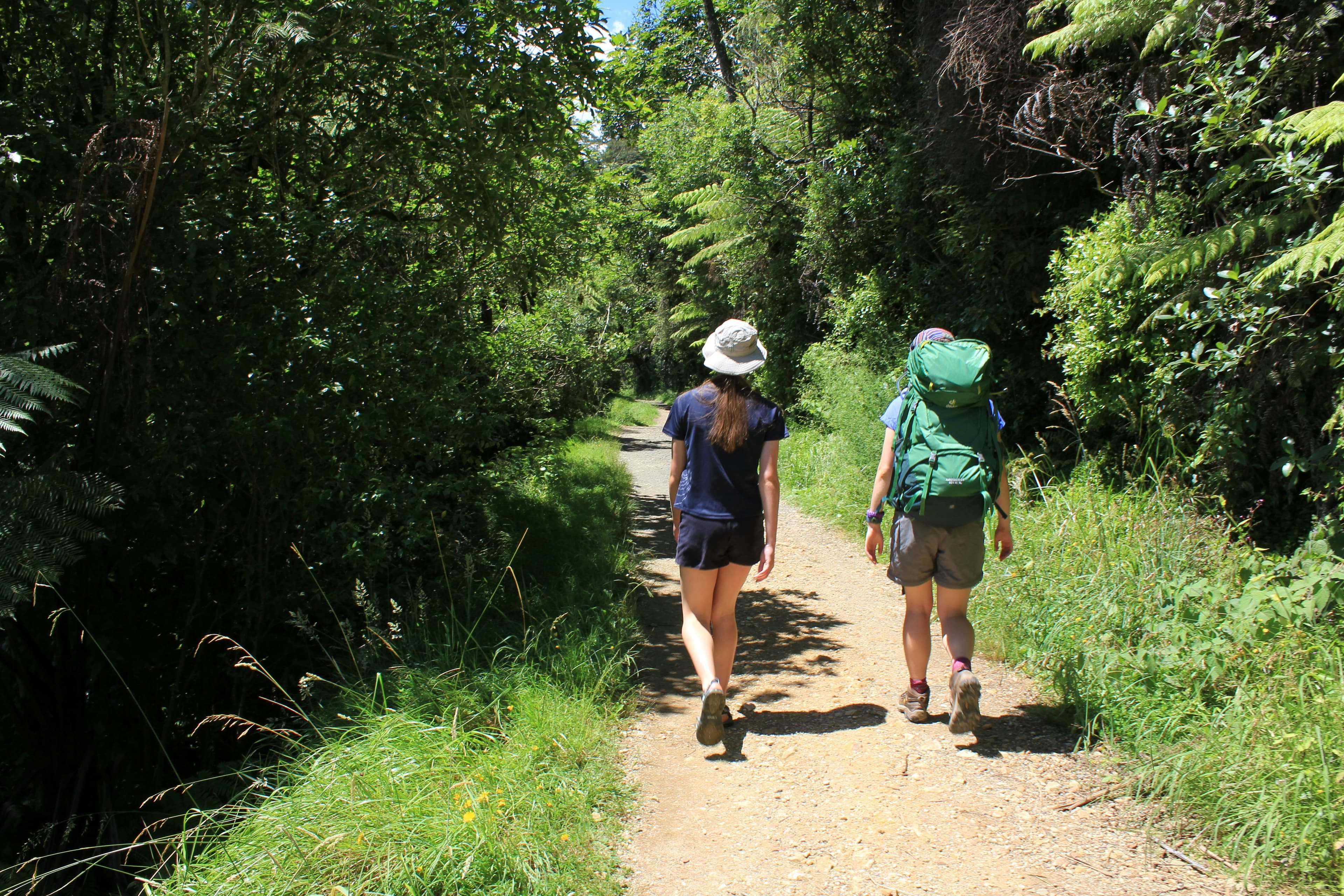 Two hikers walking down a forest trail