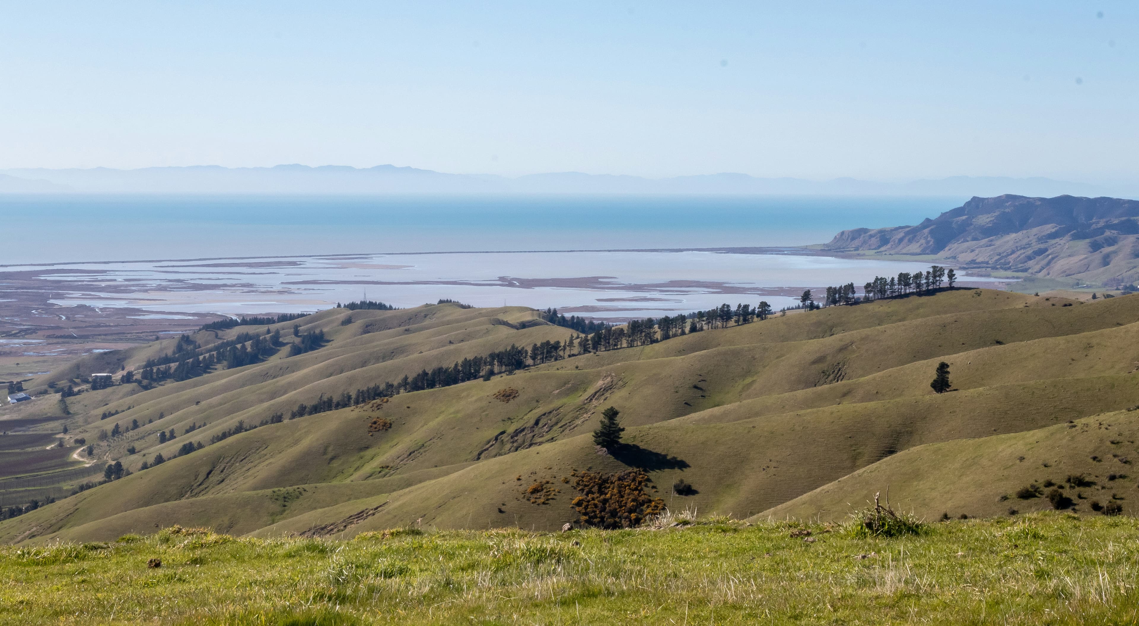 Marlborough