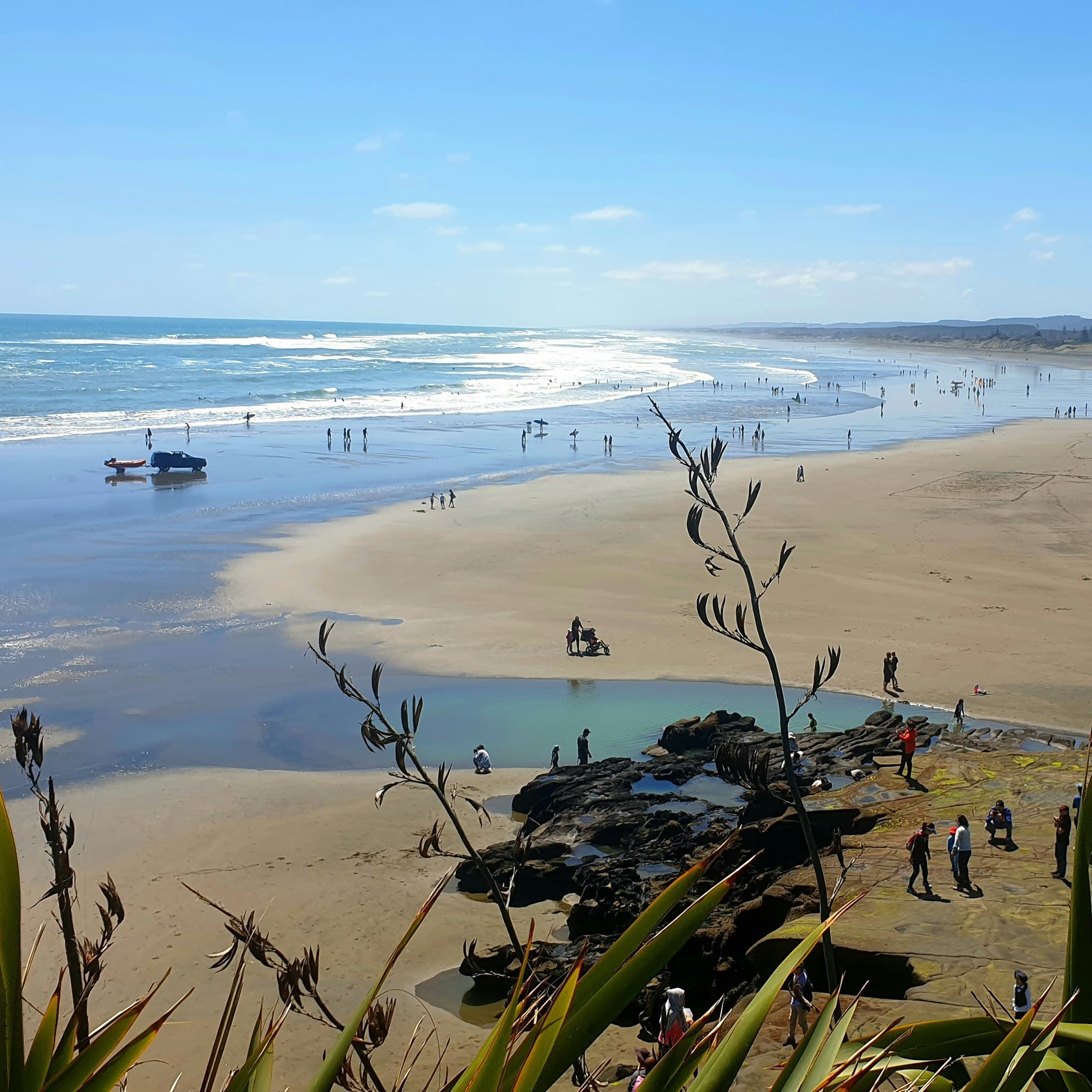 New Zealand coastal landscape