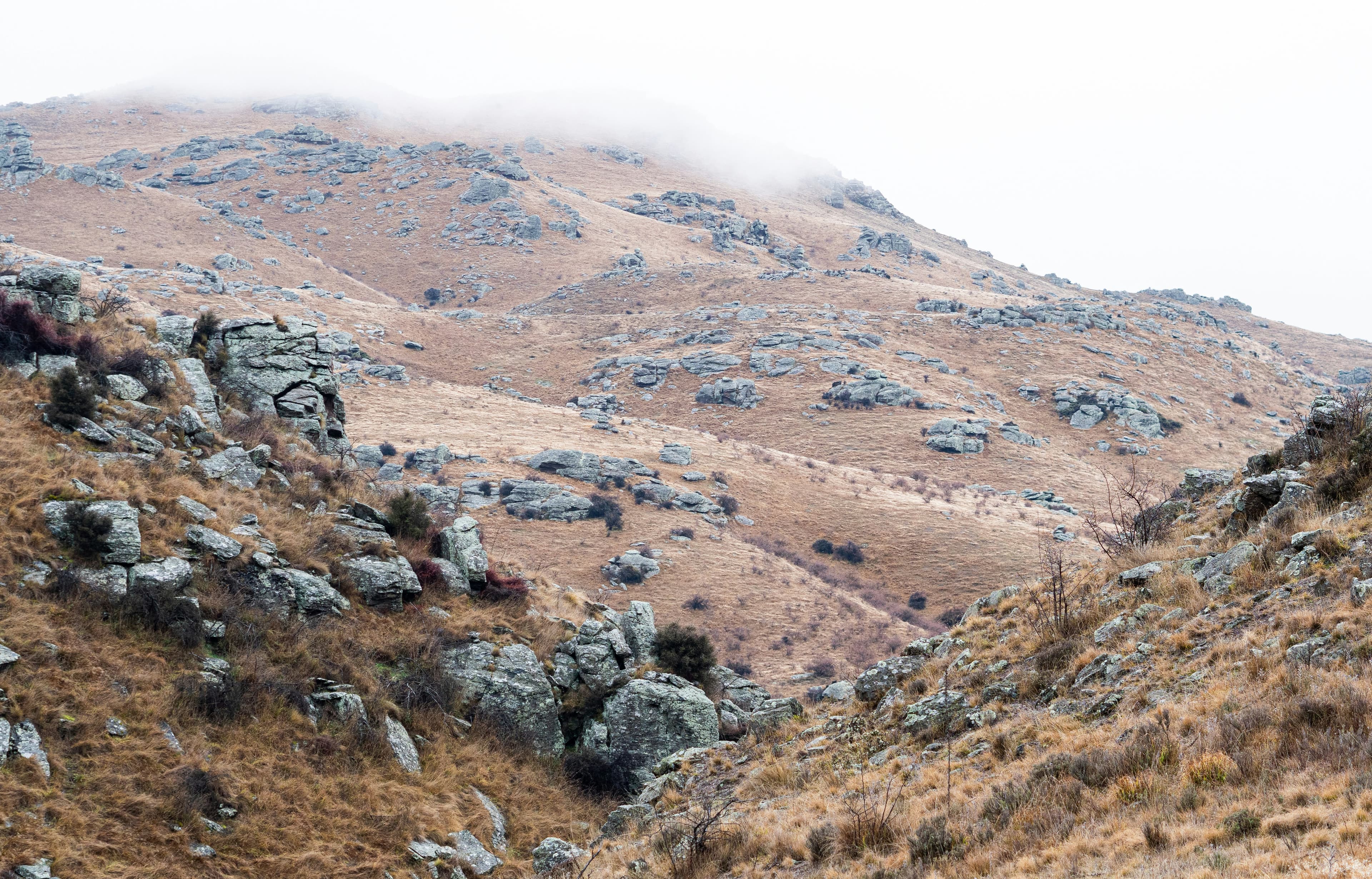 Otago