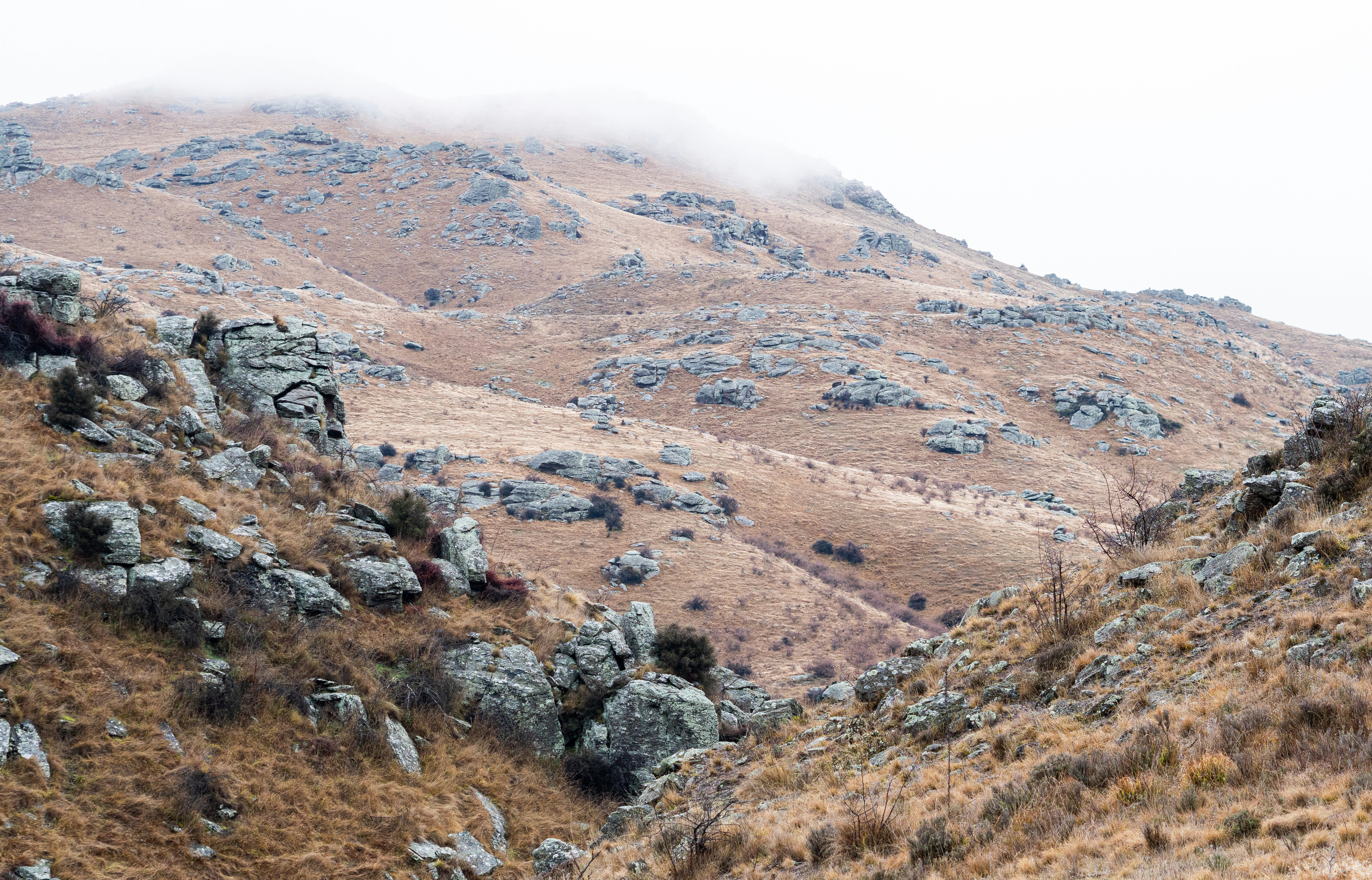Routeburn Track
